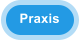 Praxis