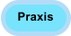 Praxis
